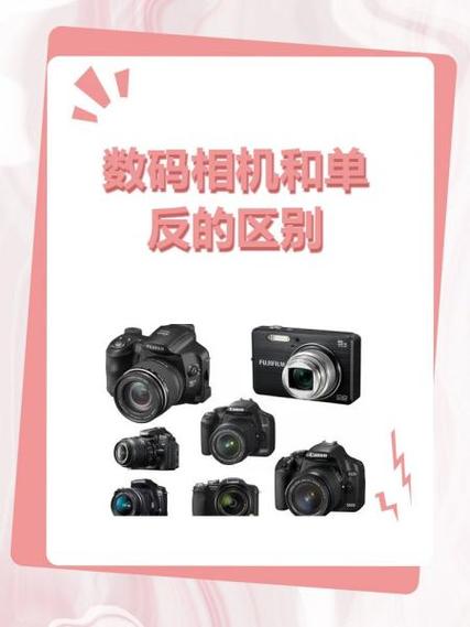 关于“数码相机与单反的外观区别”你要知晓的问题-第5张图片 关于“数码相机与单反的外观区别”你要知晓的问题-第5张图片
