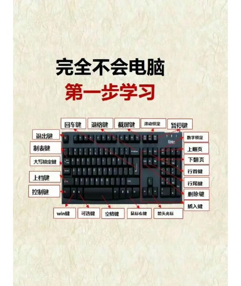 作为消费者“开始学电脑从哪入手”你需要了解的事情
