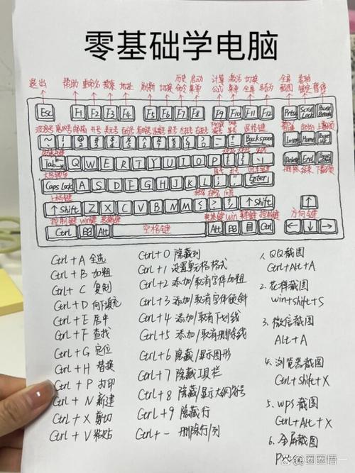 怎样学习电脑知识,我想学电脑基本知识怎么学-第2张图片 怎样学习电脑知识,我想学电脑基本知识怎么学-第2张图片