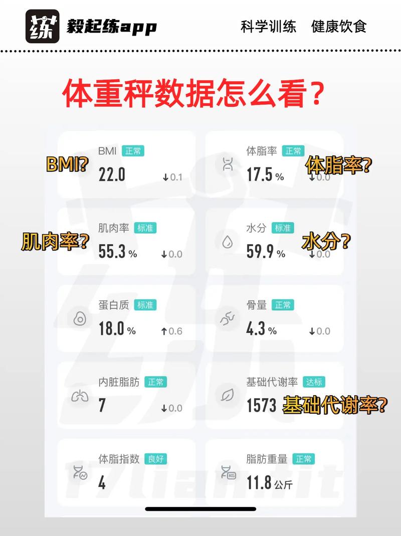 作为消费者“小米体重秤3什么时候上市的”你需要了解的事情-第5张图片 作为消费者“小米体重秤3什么时候上市的”你需要了解的事情-第5张图片