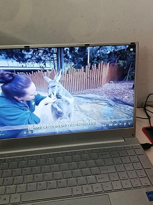 苹果台式电脑为什么没有声音-台式苹果电脑没有主机吗-第7张图片 苹果台式电脑为什么没有声音-台式苹果电脑没有主机吗-第7张图片
