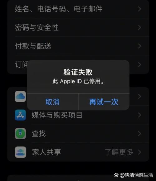 苹果密码输入多次停用怎么办，苹果密码输入几次停用