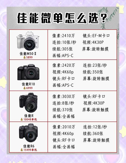 相机尼康和佳能那个好/相机尼康和佳能哪个好-第6张图片 相机尼康和佳能那个好/相机尼康和佳能哪个好-第6张图片